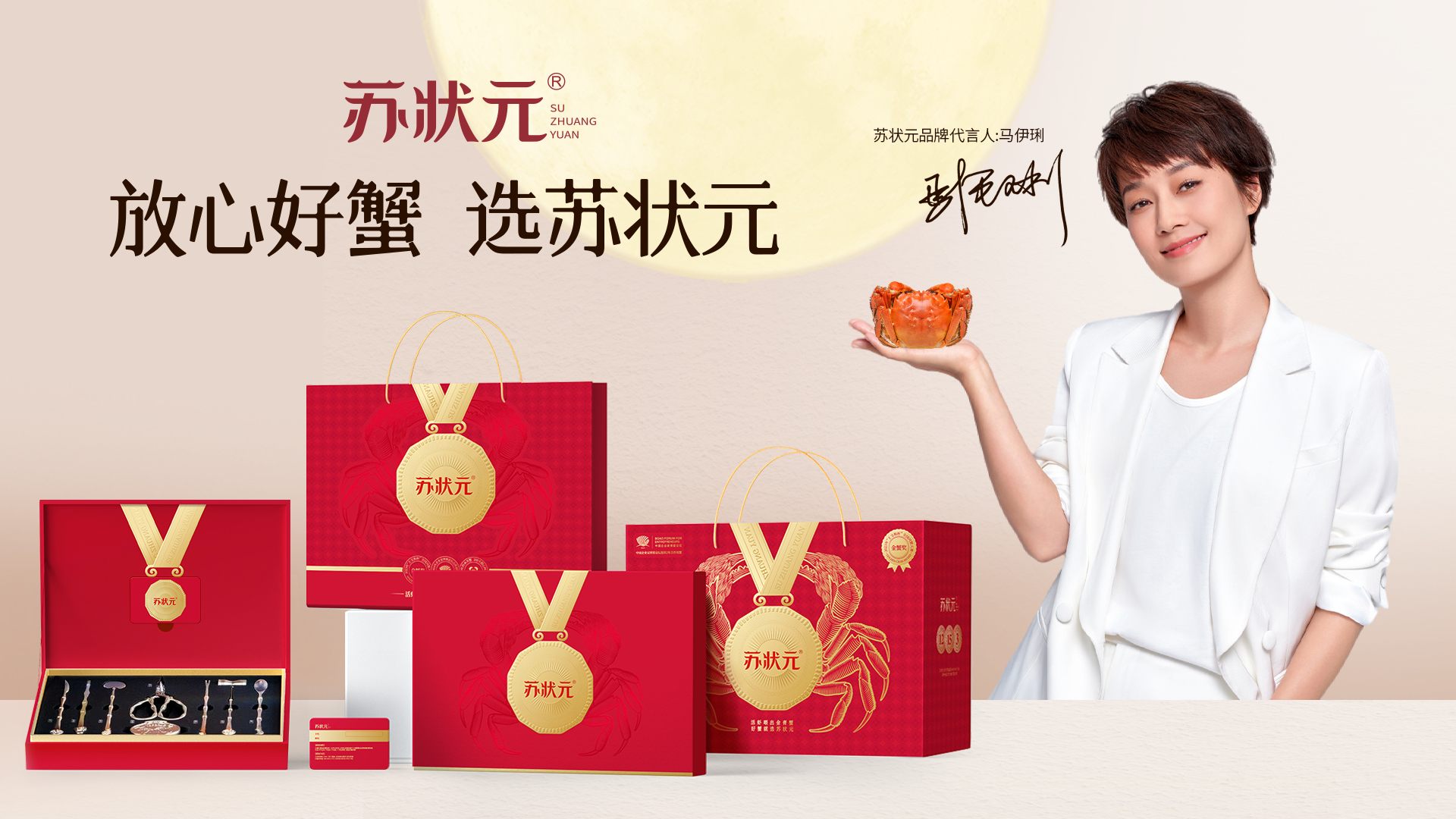 马伊琍包装组合 马伊琍包装组合